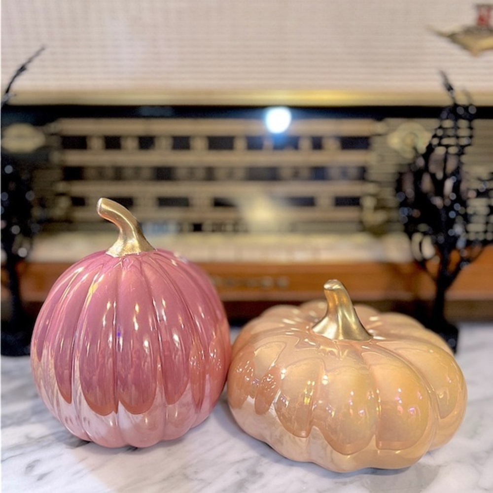 ✨NEW🎃Target Bullseye Playground 2024 Ceramic Iridescent Pumpkins💖